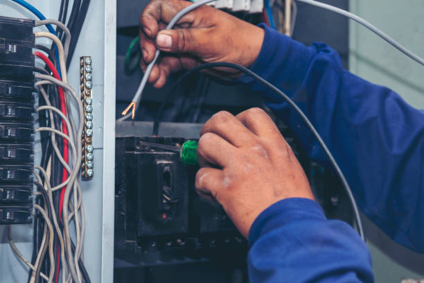 Best Electrical Troubleshooting Services  in Panaca, NV